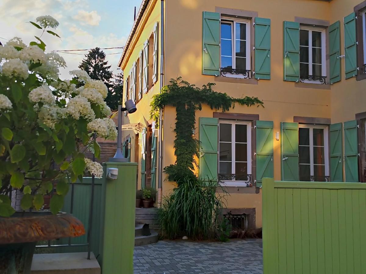La Chouette Maison - Chambres D'Hotes Et Gite En Ville Remiremont Exterior photo
